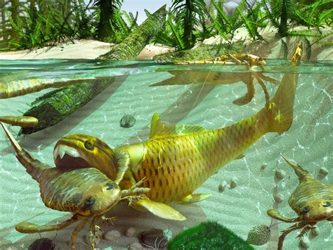 devonian fish|Why the Devonian Period Is Called the Age of Fishes: Exploring .